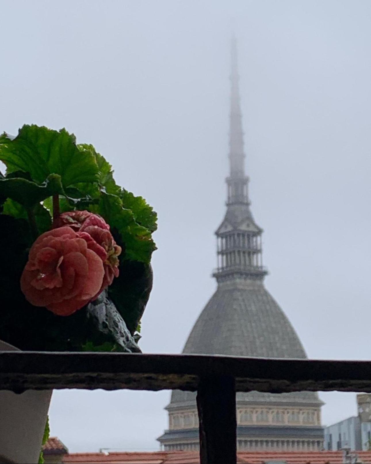Le Finestre Sulla Mole Daire Torino Dış mekan fotoğraf